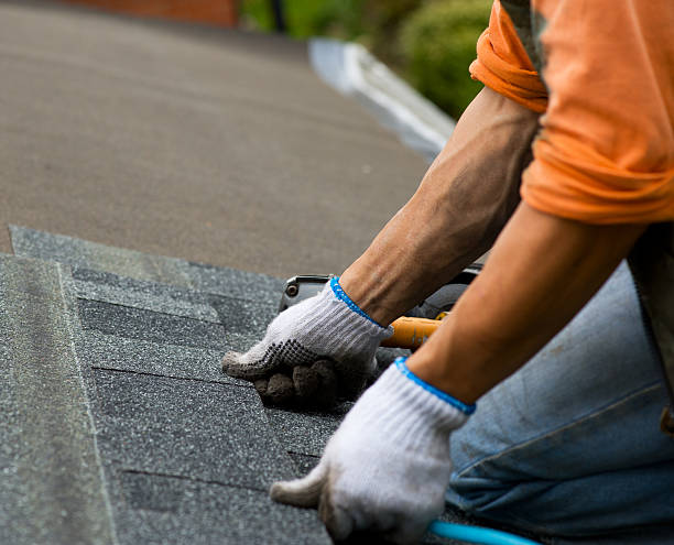 Best Green or Eco-Friendly Roofing Solutions  in La Porte, TX